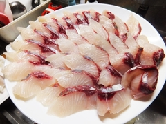 5月後半のキレイな海のボラの刺身 (11).jpg