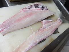 5月後半のキレイな海のボラの刺身 (7).jpg