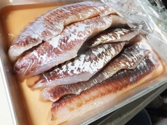 5月後半のキレイな海の塩〆ボラを8日間寝かせて作った酢〆の握り (2).jpg