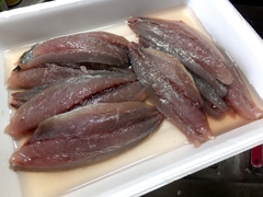 7月後半の大月町産メアジの酢〆 (9).jpg