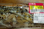 かつお 素材.jpg