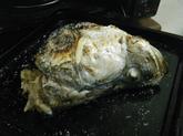 DSCF2815.jpg