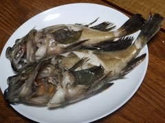 高鮮度なカサゴの蒸し物 (11).jpg