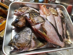 高鮮度なカサゴの蒸し物 (8).jpg