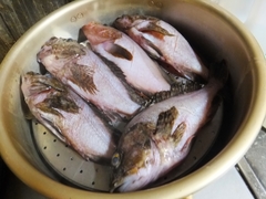 高鮮度なカサゴの蒸し物 (9).jpg