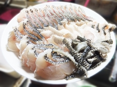 4月中旬のヒラスズキの皮付きの刺身 (6).jpg